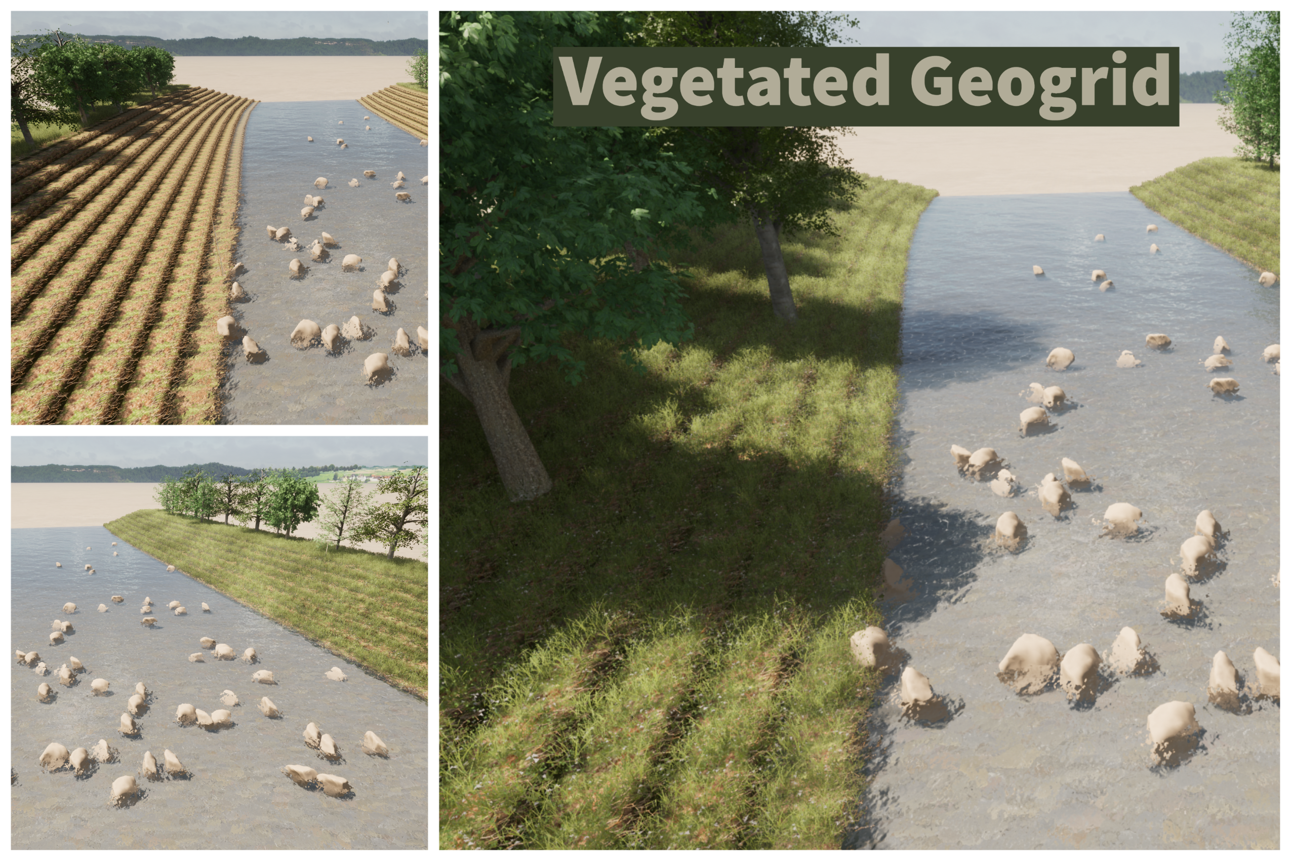 Vegetated Geogrid Image